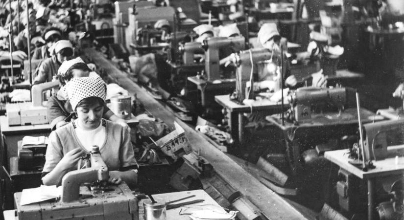 Nagyvárad könnyűipara – Felhívás az egykori dolgozókhoz