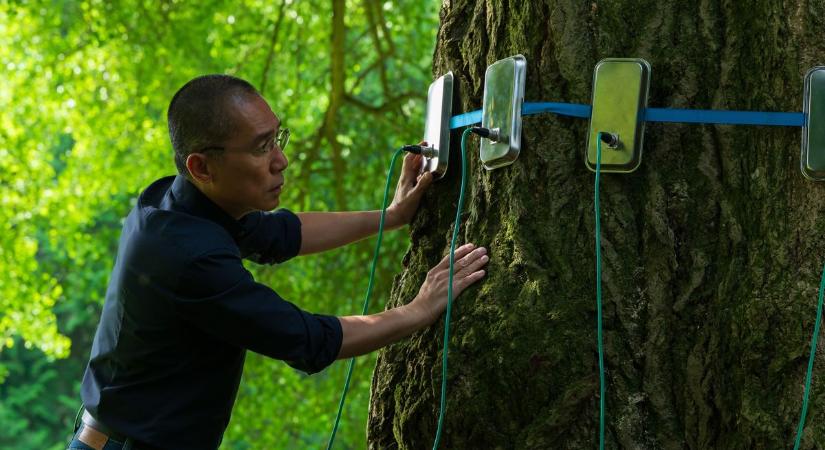 Két magányos emberi lélek óvatos közeledését talán még soha nem láttuk ilyan szépen ábrázolni – Enyedi Ildikó új filmjéről