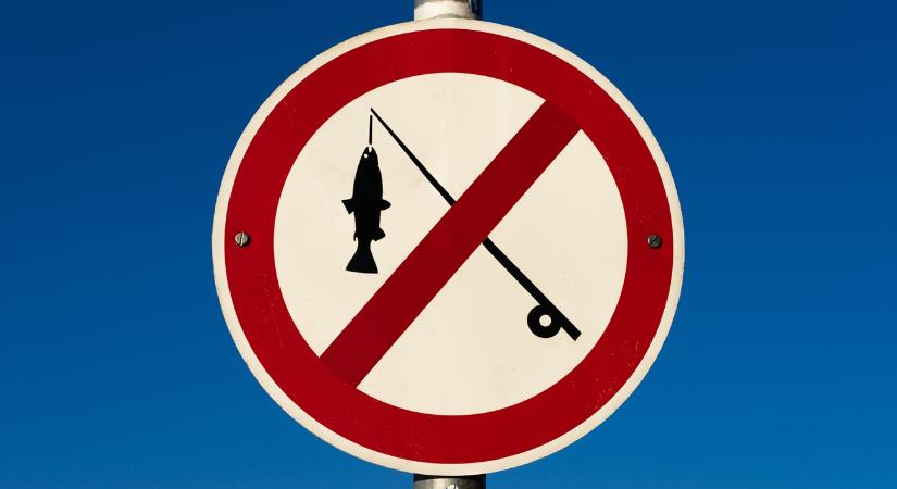 Már megint egy tiltás: fontos változások a horgászoknak