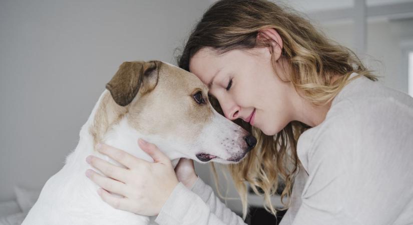 Ezt jelenti, ha a kutyád mindenhova követ