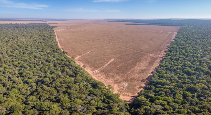 Megtalálták a világméretű klímatragédia ellenszerét? Kemény munka lesz, de ez lehet a kulcs