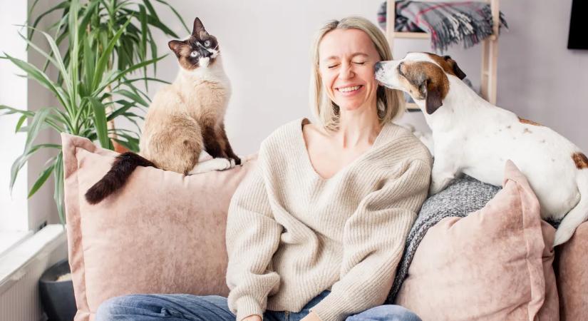 Kutyás vagy macskás típus vagy? A személyiségteszt, ami felfedi, milyen vagy a szerelemben