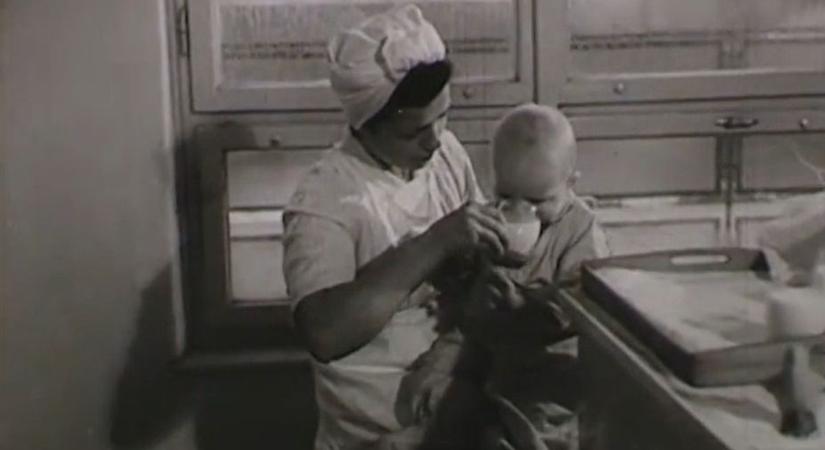 Imádták a szolnoki tejet az angyalföldi bölcsődések – videó