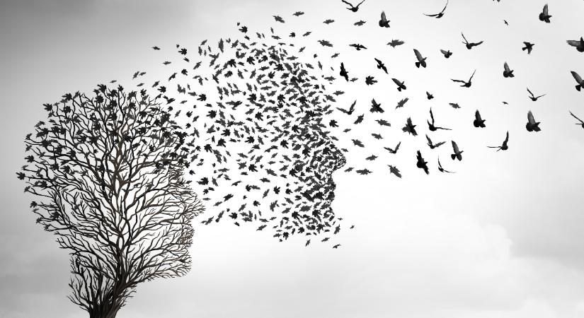 „A lélek nem tűnik el, csak hazatér” – Beszélgetés Havasi Katalinnal a Lelkünk útja hipnózisról