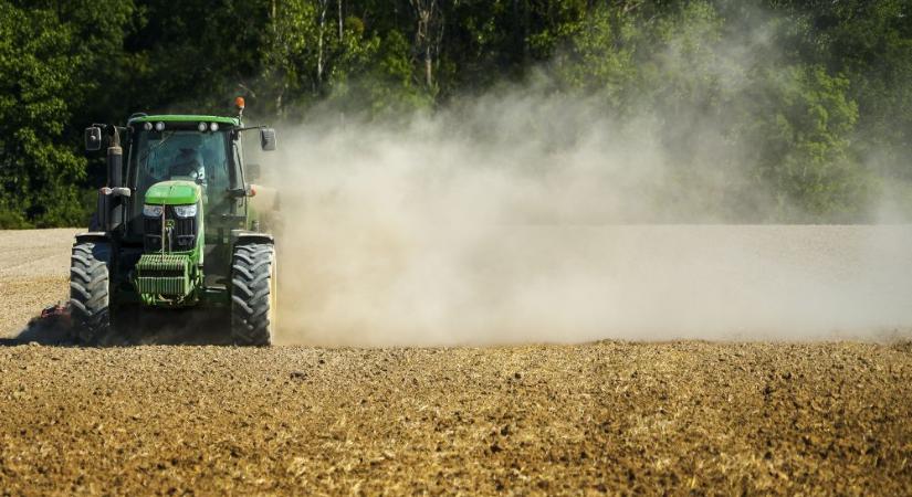 „Ilyen búzaár mellett 40 dinárba kellene kerülnie egy kiló lisztnek”