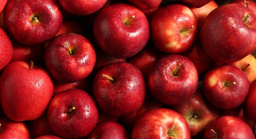 Kitört az almabotrány: súlyos vádak érték a magyar gazdákat