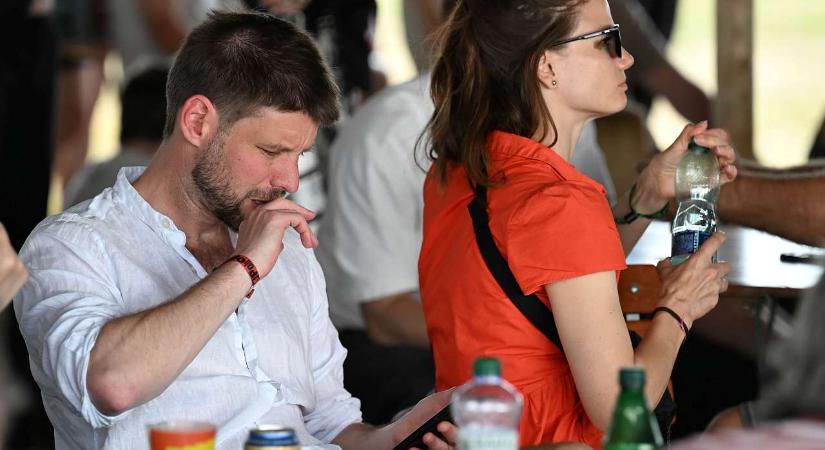 Büntetőeljárás indult Michal Šimečka anyja ellen szubvenciós csalás miatt