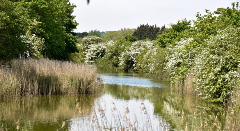 Kijelöltek több száz ezer hektár magyar területet: ez az oka