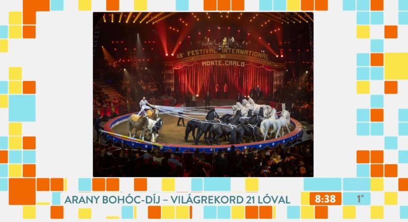 Magyar csoda a cirkusz világában: 21 lovat irányított egyszerre Richter Angelina