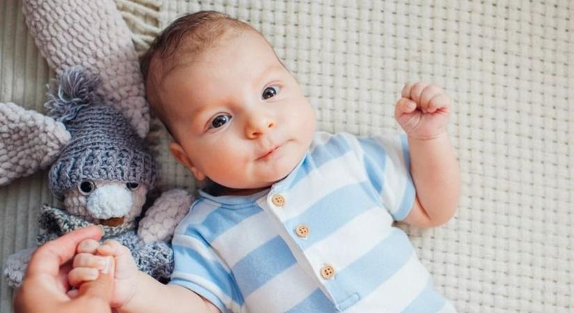 Gólyahír – újabb csöppségekkel gazdagodtunk