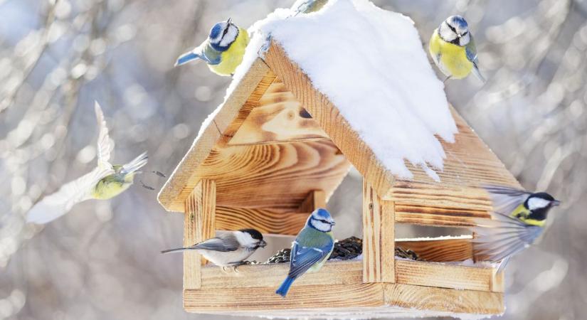 Borongós idő érkezik, havas esővel és esővel – így alakul a holnapi időjárás