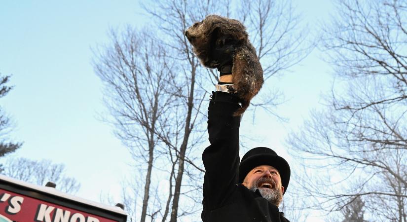 Meglátta az árnyékát a híres mormota: még hat hétig marad a tél?