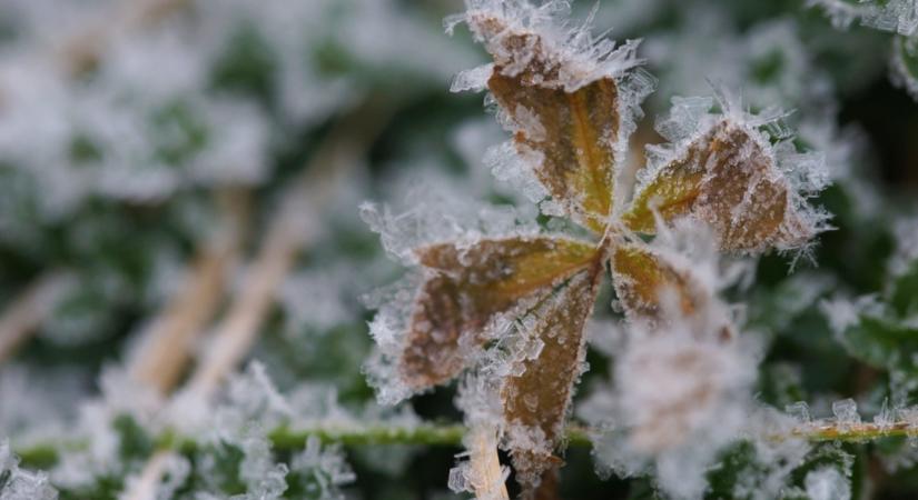 Tudd meg, milyen időjárás várható februárban!