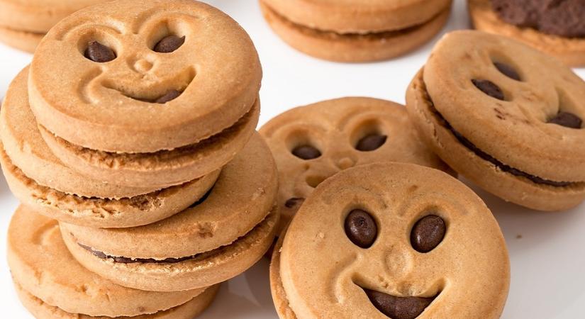 Randstad-felmérés: a régiós mezőnyben a magyar cégek a legbizakodóbbak