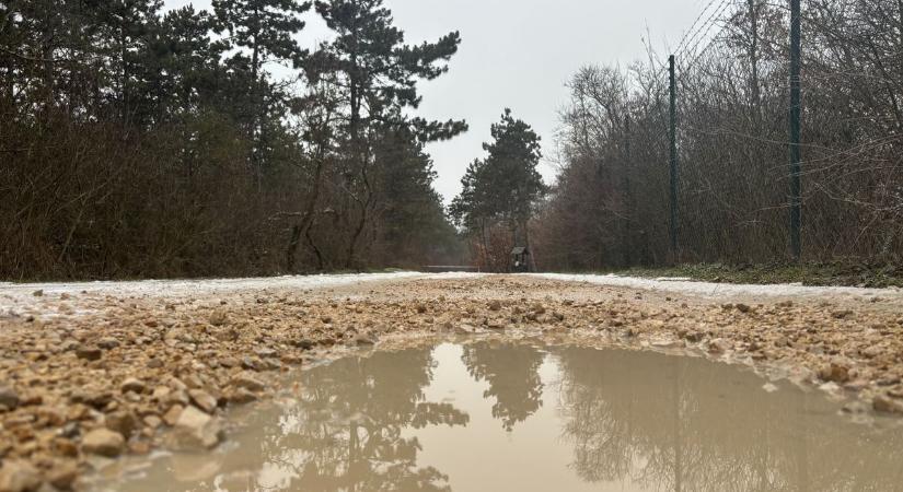 Ónos esővel és széllel indul, esővel folytatódik – változékony nap jön Veszprémben