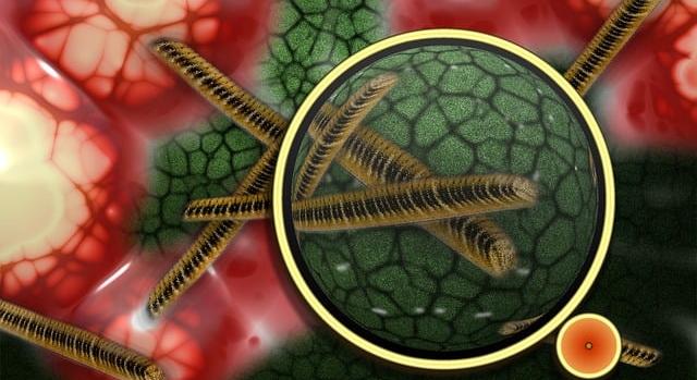 Új statisztikai módszer a mikrobiomban történő változások feltárásához