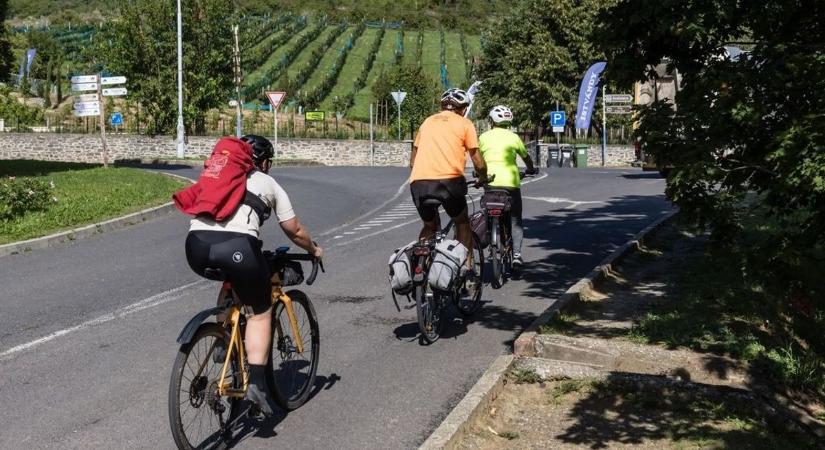 Ennyi szeszes italt ihatunk az új KRESZ szerint, itt az új alkohol-érték