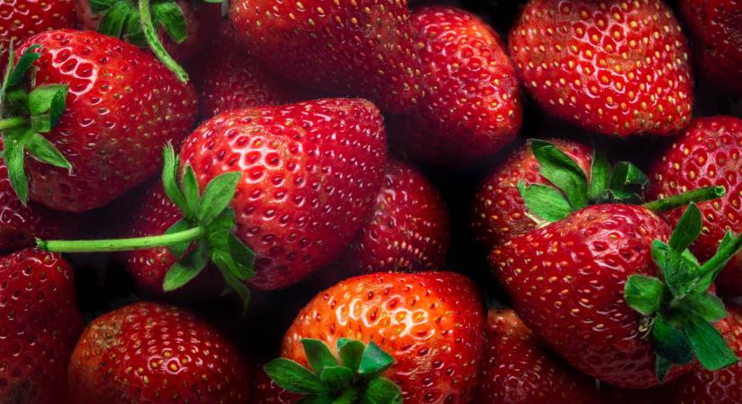 Valami elkezdődött: egyre több van ebből a gyümölcsből a görögöknél