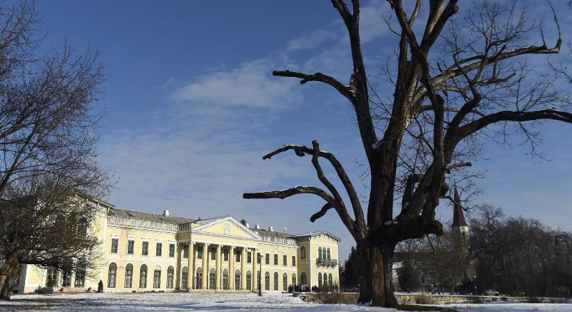Felfüggesztették a fóti gyermekotthon vezetőjét