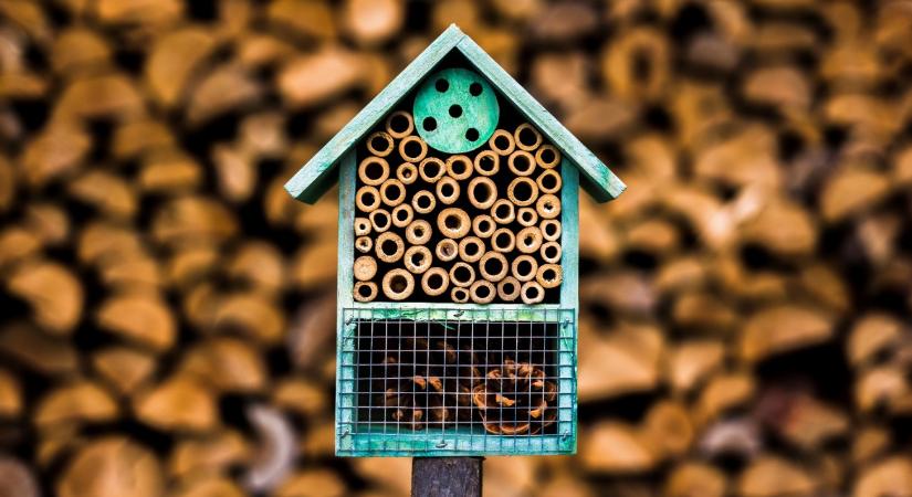 Apró lyukak, nagy jelentőséggel – itt az idő segíteni