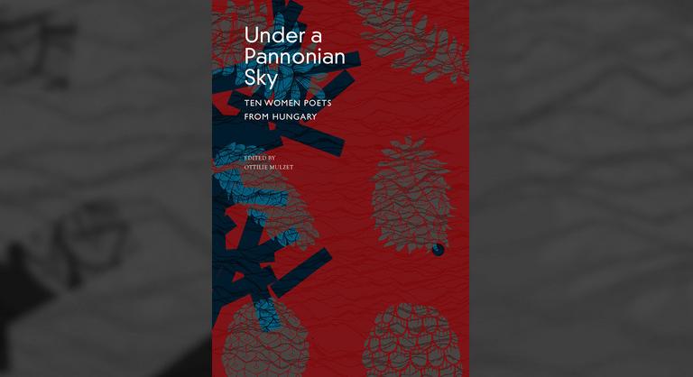 Most a világ felfigyel a magyar nőkre, akik egy angol nyelvű könyvben szerepelnek