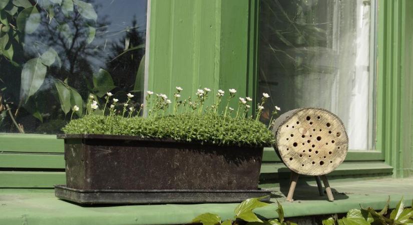 Felhívás: február végéig érdemes elkészíteni és kihelyezni a méhecskehoteleket