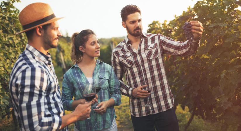 Ez elképesztő: egyre több fiatal választja ezt az agráregyetemet itthon