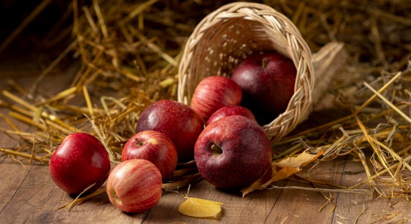 Figyelem: a rémhírekkel ellentétben a magyar alma biztonságos és kiváló minőségű