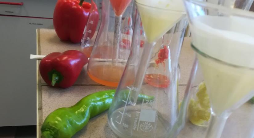 Február 5-ig lehet jelentkezni a MATE gyümölcs- és zöldségfeldolgozó képzésére