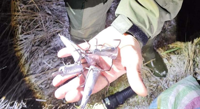 Idegen fémeszközt találtak a Tiszában, súlyos bűncselekményt követtek el vele