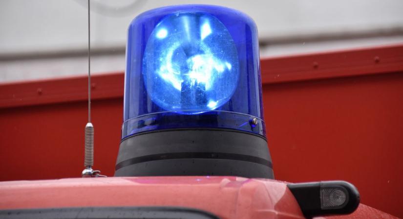 Téglákkal együtt szakadt ki a borostyán a falból, tűzoltókra volt szükség