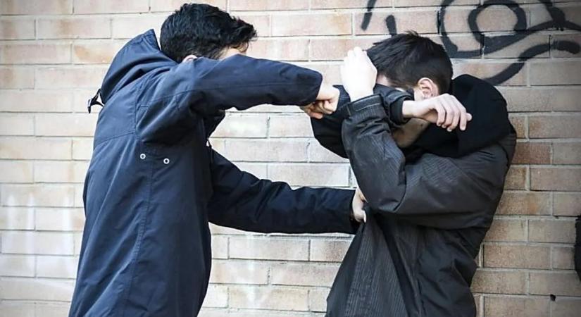 Elszabadult a pokol egy pápai játszótéren – nemcsak ütött, harapott is a támadó