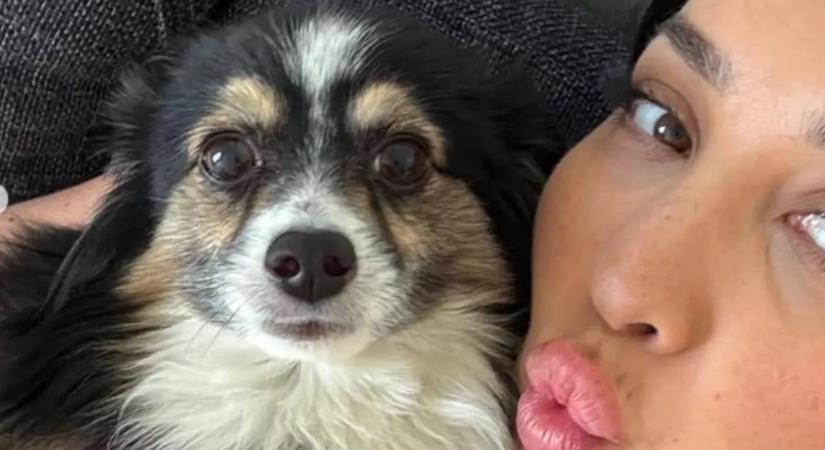 Eltűnt a kutyája: a nő sokkot kap, amikor meglátja, ki osztotta meg a bejegyzését