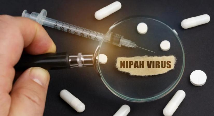 Van okunk aggódni? Minden fontos információ a Nipah-vírusról