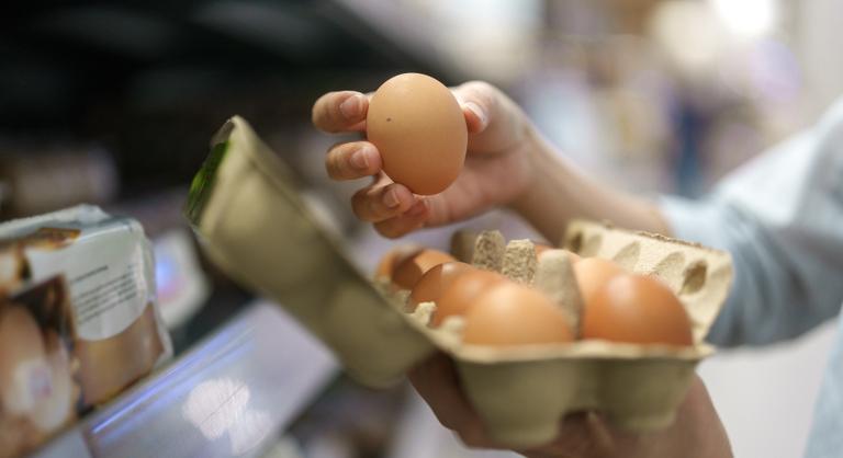 Átverhetik a fogyasztókat: 85 ezer tonna ukrán tojás árasztja el Európát, de senki sem tudja, honnan származnak