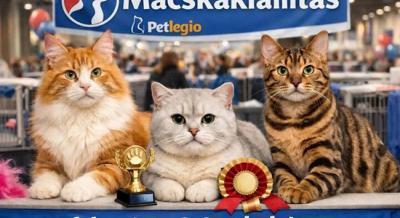 Nemzetközi Macskakiállítás, 2026. február 7-8.