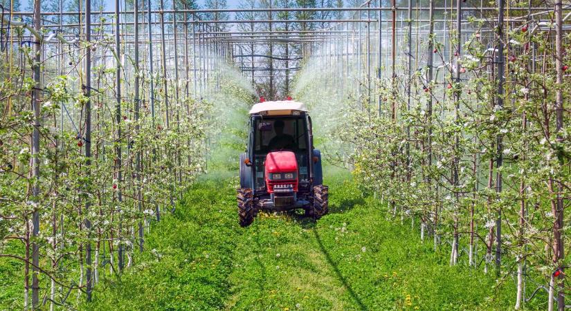 Mérgező-e az alma? Egy biológus tisztázza a félreértéseket