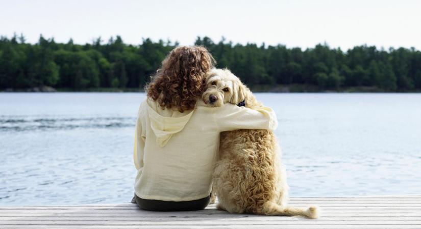 3 jel, hogy a háziállatod azért érkezett melléd, hogy átsegítsen egy nehéz időszakon