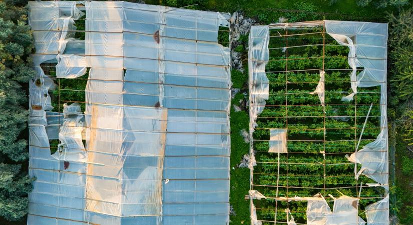 Megállt az export, csúszik a szezon: brutális károk a mediterrán térségben