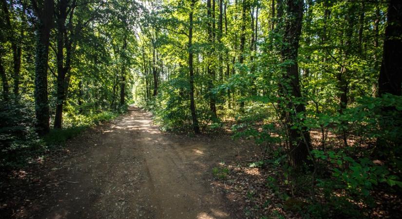 Gyorsabban melegszik a Föld, mint ahogy a modellek követni tudnák – a légszennyezés eddig elfedte a helyzet valódi súlyosságát