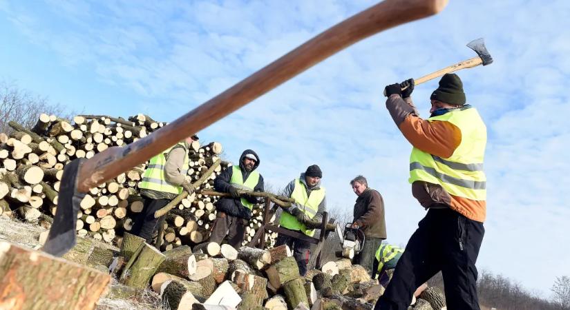 Tényleg a romák adják a munkaerőpiac belső tartalékát?