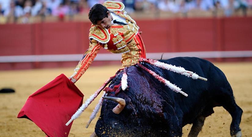 Spanyolország betiltja majd a 16 év alattiak közösségi médiához való hozzáférését