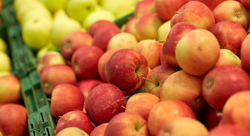 Nébih: biztonságosan fogyaszthatók a hazai termésű almák
