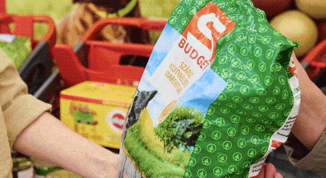 Nem kampány, hanem rendszeres segítség: több tízezer felajánlás a menhelyi kutyáknak és cicáknak