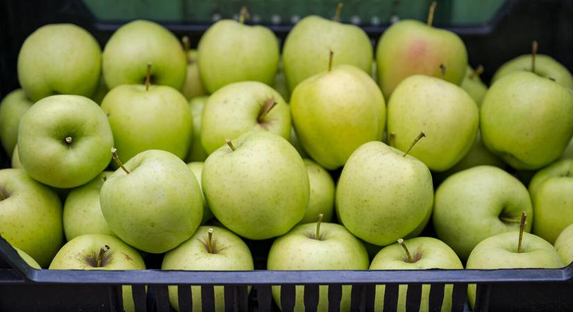 Nyugodtan ehetjük a magyar almát?