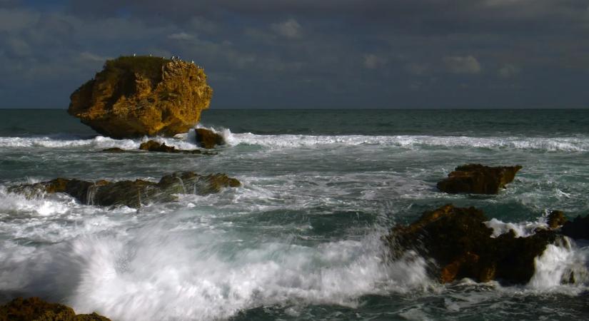 Hős fiú mentette meg a családját: órákig úszott a nyílt vízen