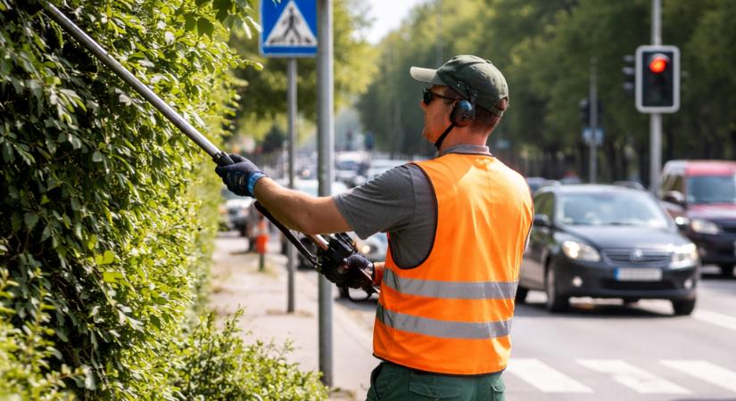 Megkezdődnek a közlekedésbiztonságot szolgáló növénymetszési munkák Egerben