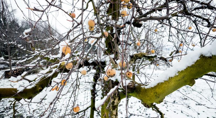 Megérkezett a nagy havazás: sok várost már teljesen ellepett a hó