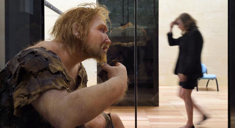 A neandervölgyiek és a modern ember hatalmas területen keveredhetett egymással