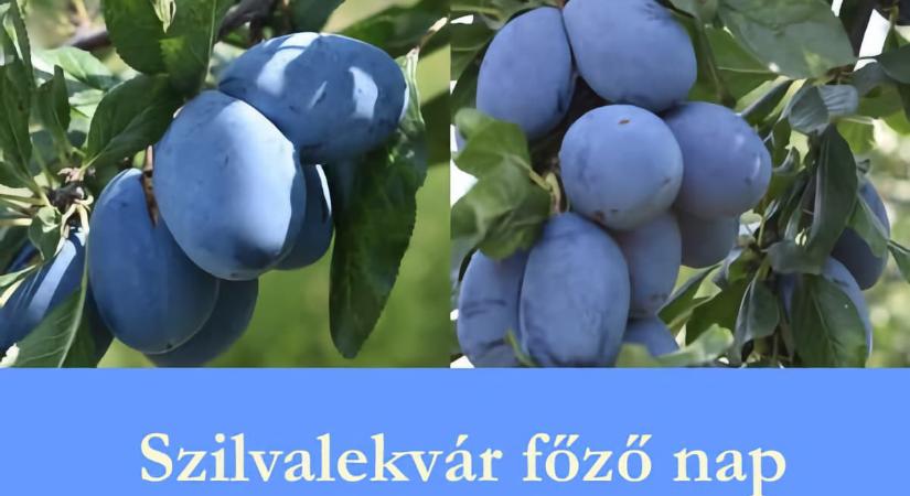 Szilvalekvárfőző Nap 2026 Gyomaendrőd